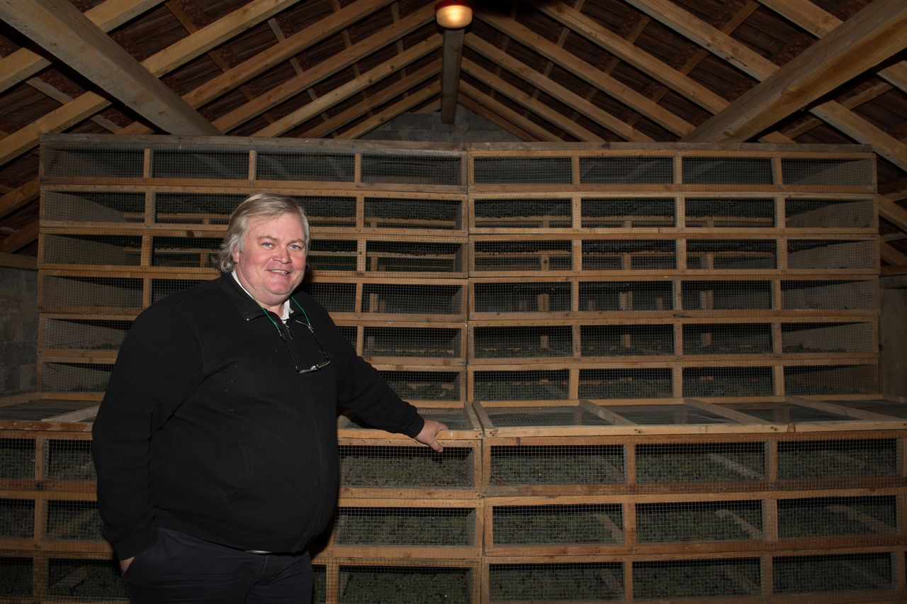 Vins Vigneron François Mossu Mossu-0011